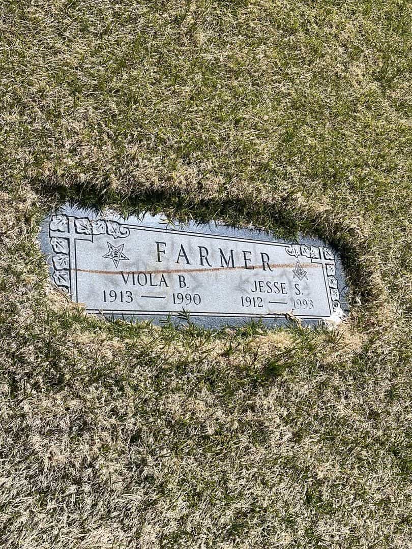 Viola Bunch Farmer's grave. Photo 2