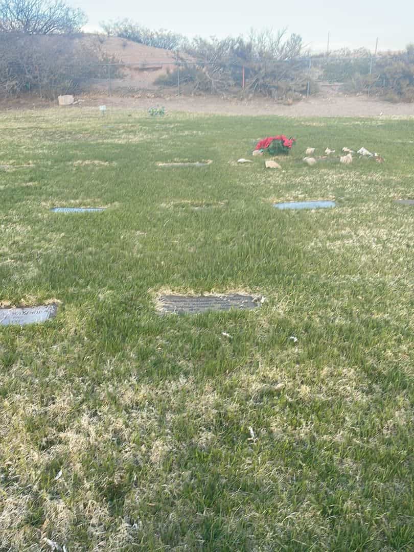 Leon Homer Waldrip's grave. Photo 2