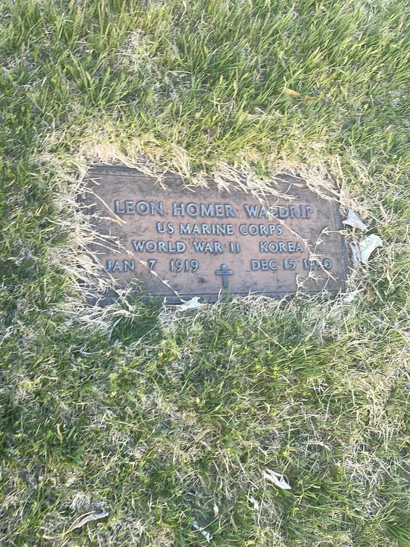 Leon Homer Waldrip's grave. Photo 1