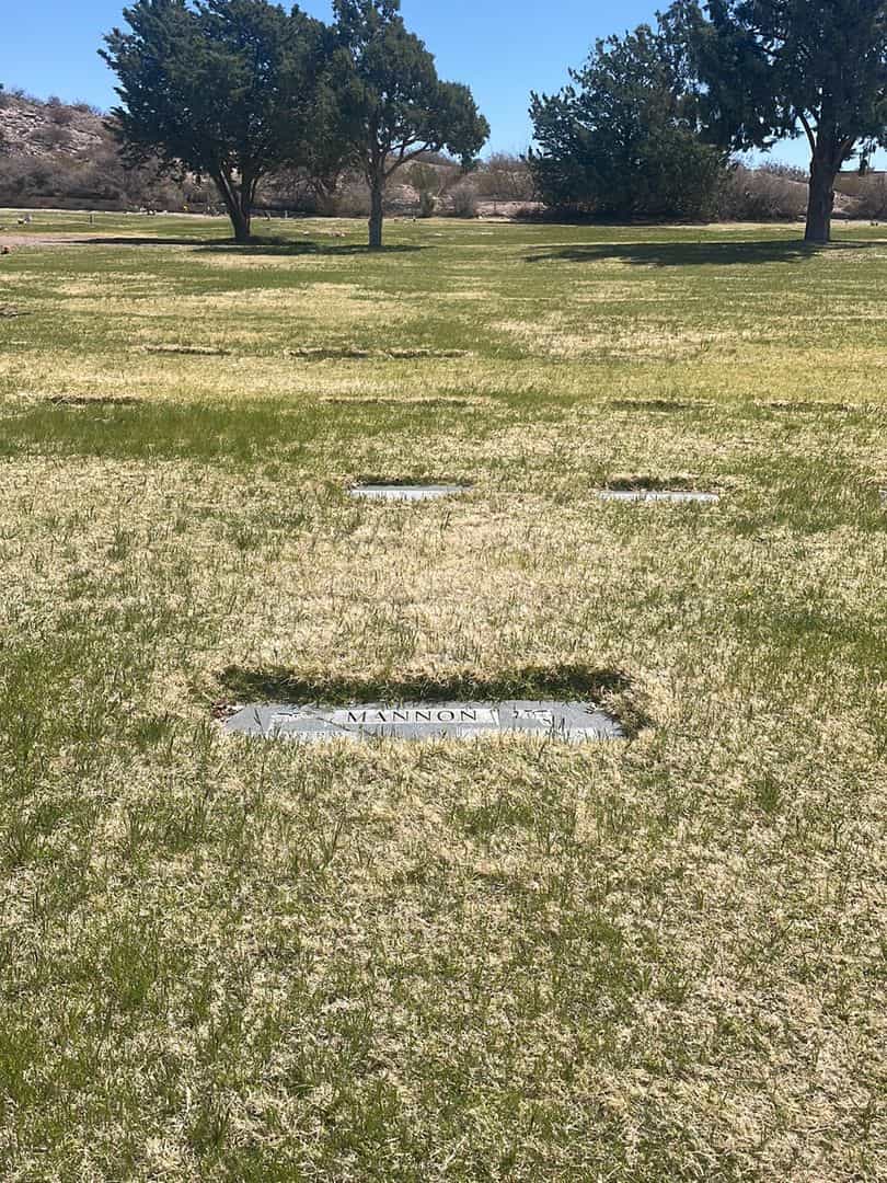 Joel Hanes Mannon's grave. Photo 1