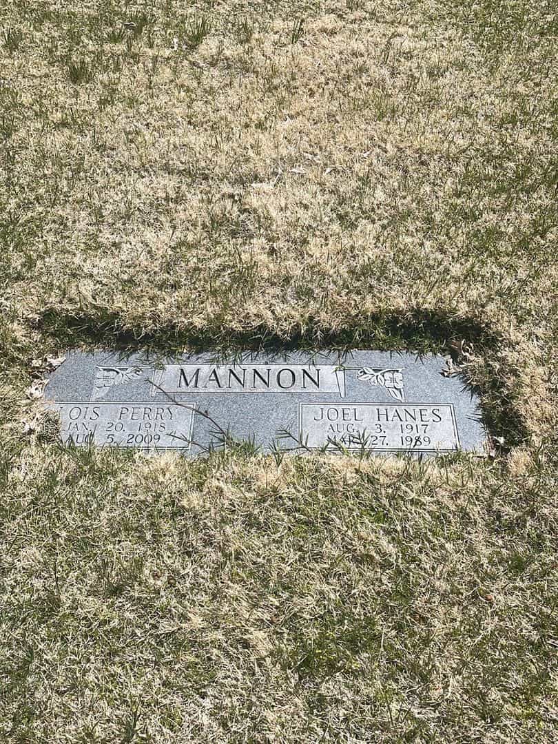Joel Hanes Mannon's grave. Photo 2