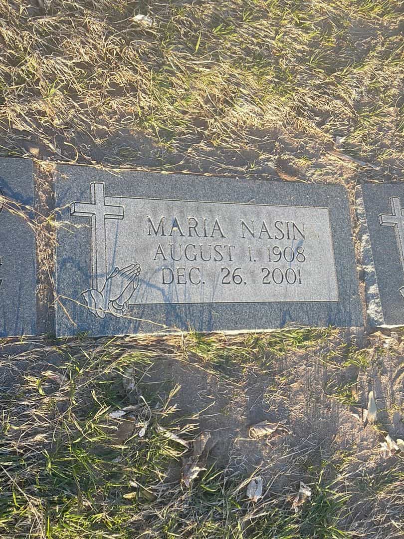 Maria Nasin's grave. Photo 2