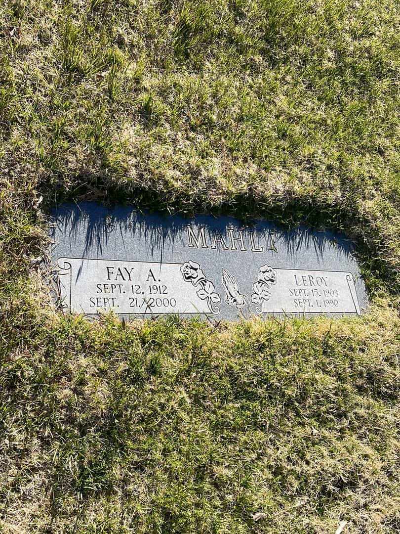 Leroy Mahl's grave. Photo 2