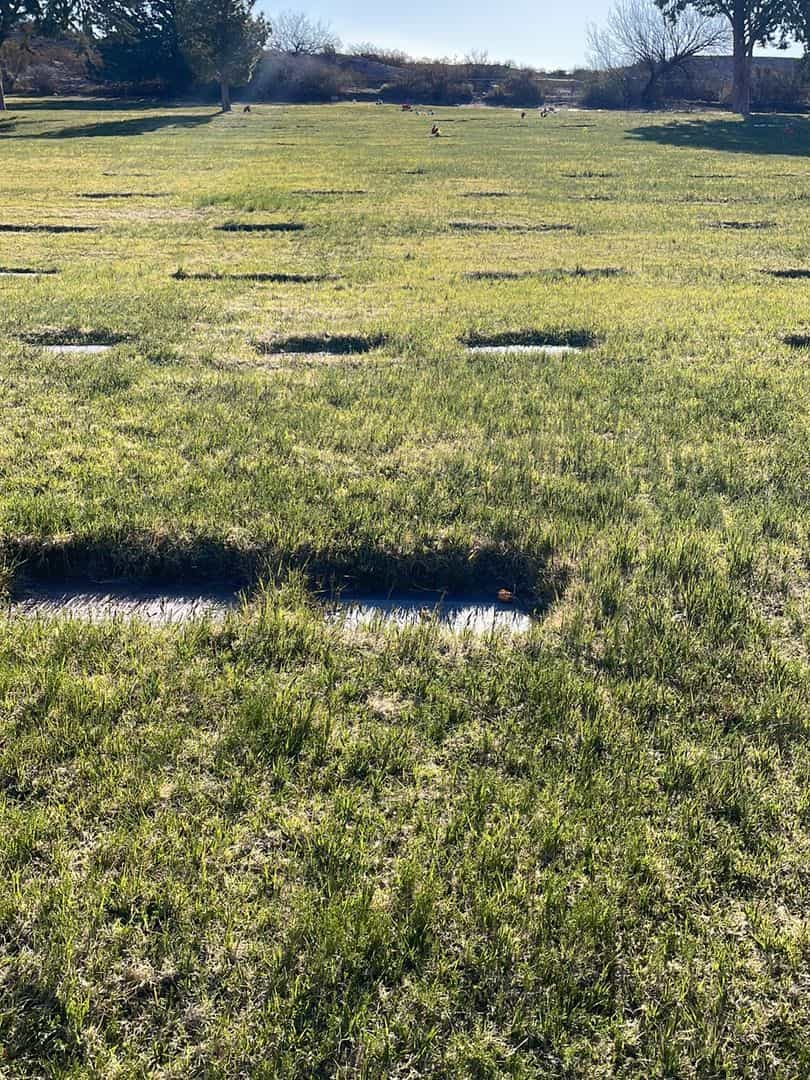 Carl Elmer Oliver's grave. Photo 1