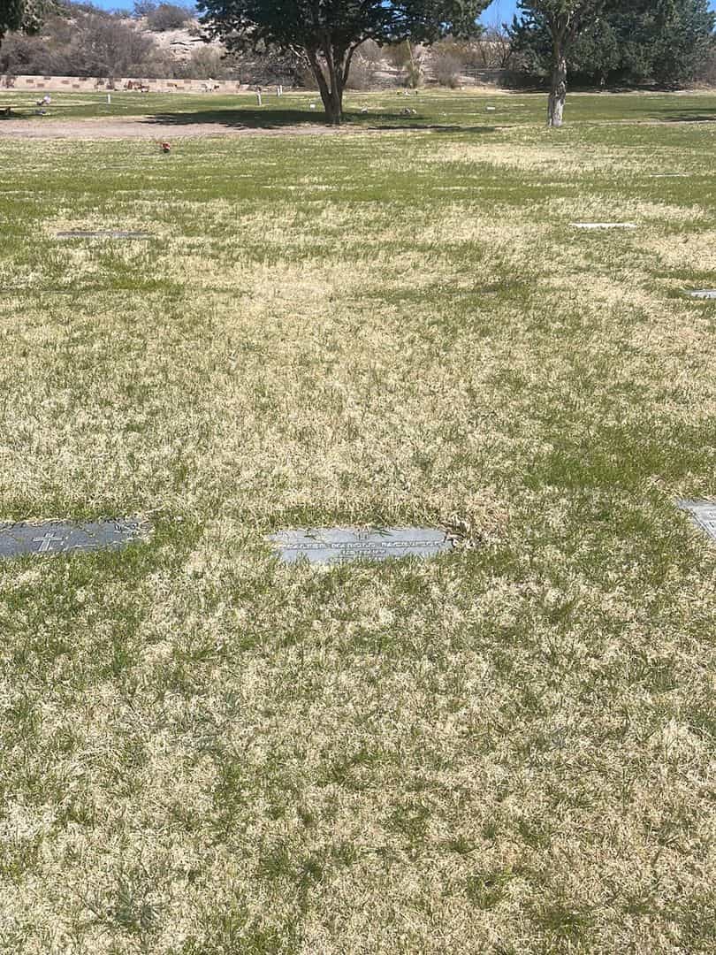 Walter Harold Packwood's grave. Photo 1