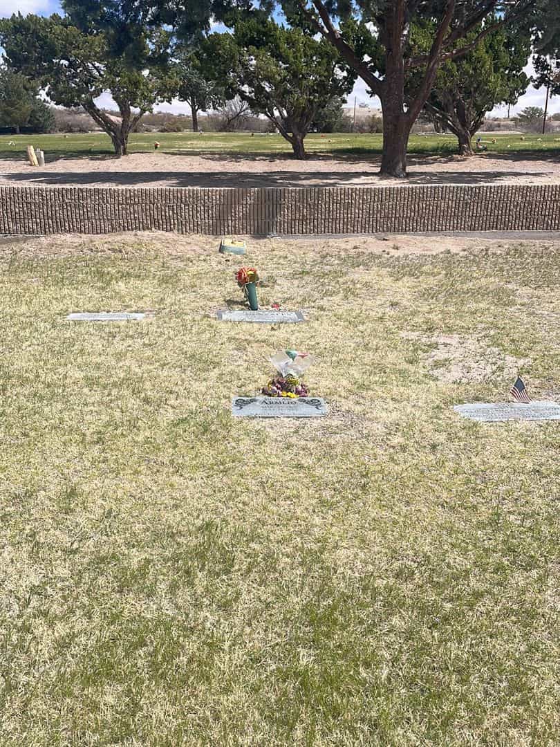 Sylvia Ann Janssens Armijo's grave. Photo 1