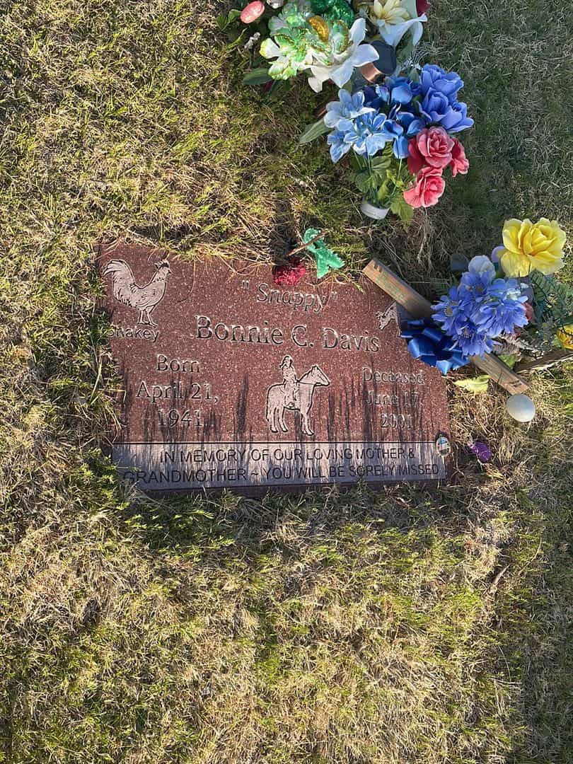 Bonnie C. "Snappy" Davis's grave. Photo 2