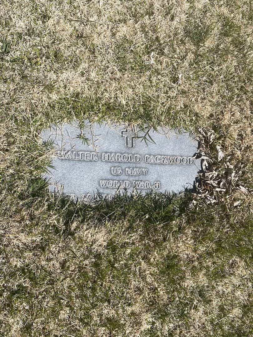 Walter Harold Packwood's grave. Photo 2