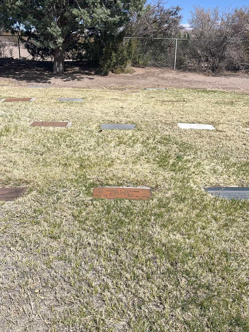 James F. Adkins's grave. Photo 1