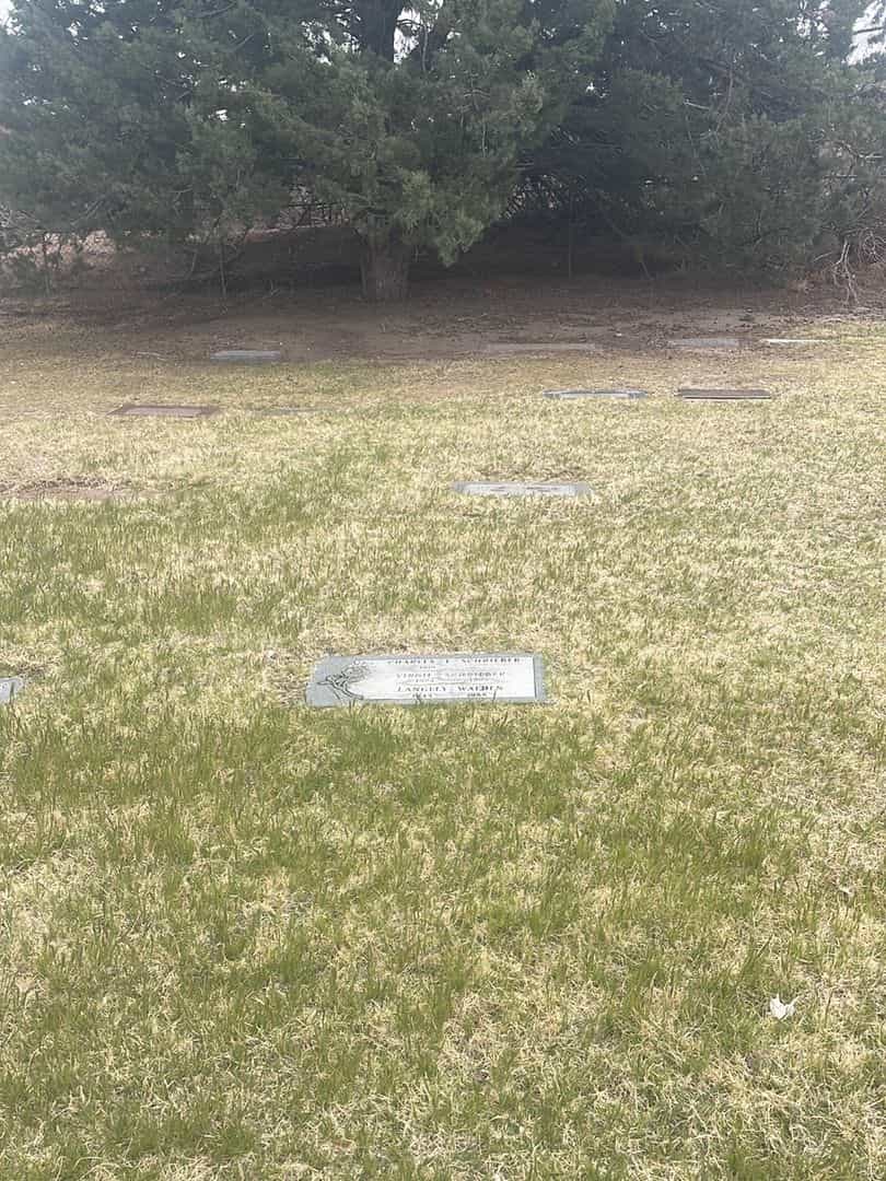 Langley Walden's grave. Photo 2