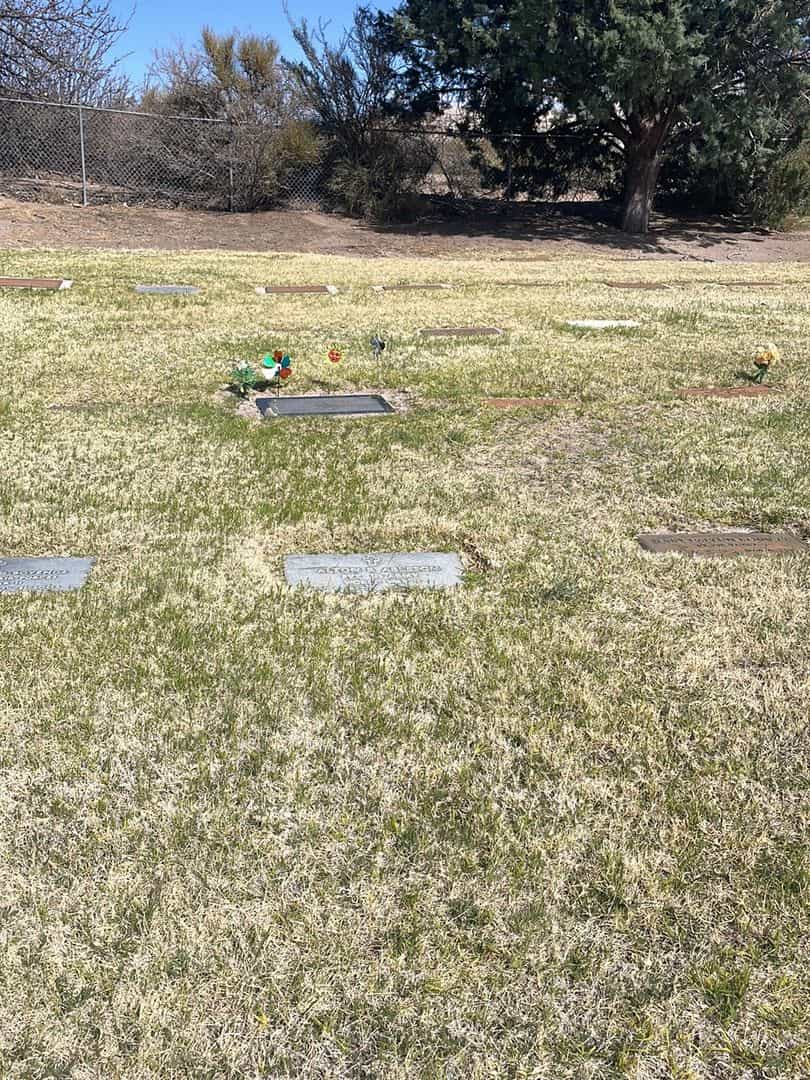 Alton R. Ableson's grave. Photo 2