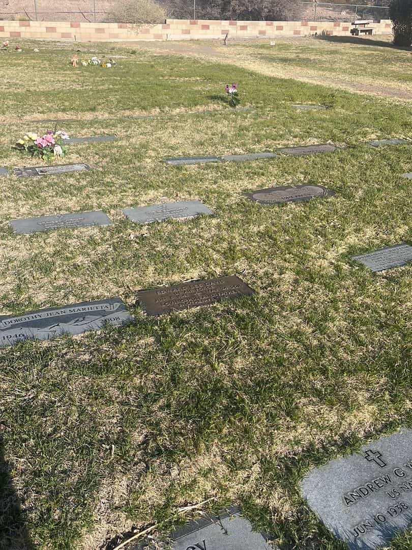 Edward Lee Davis's grave. Photo 1