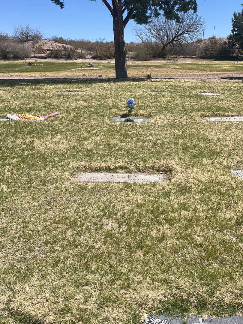 Nora Mae Talley's grave. Photo 1
