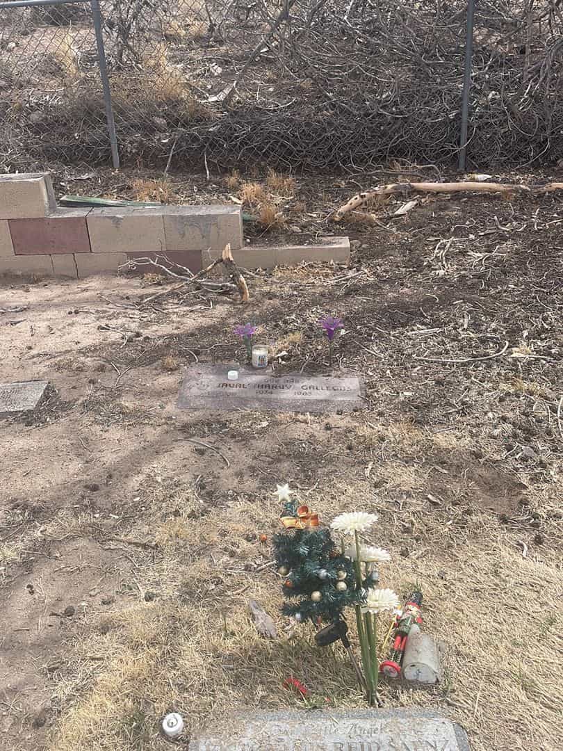 Javal "Harvy" Gallegos's grave. Photo 1