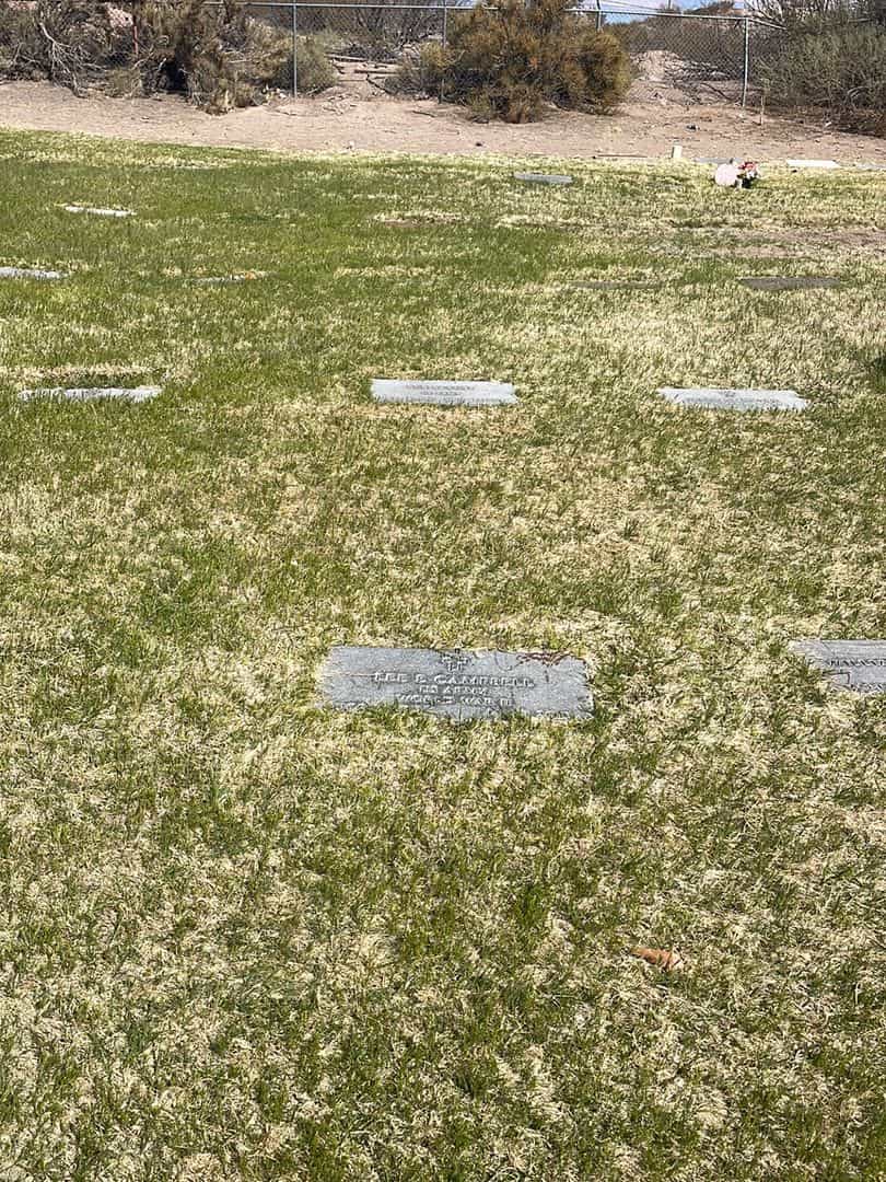Lee E. Campbell's grave. Photo 2