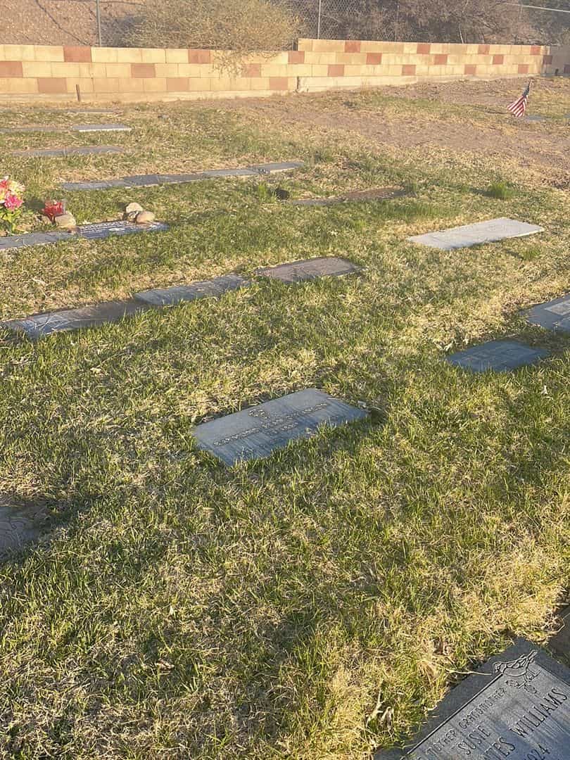 Raymond Sean O'Hanlon's grave. Photo 1