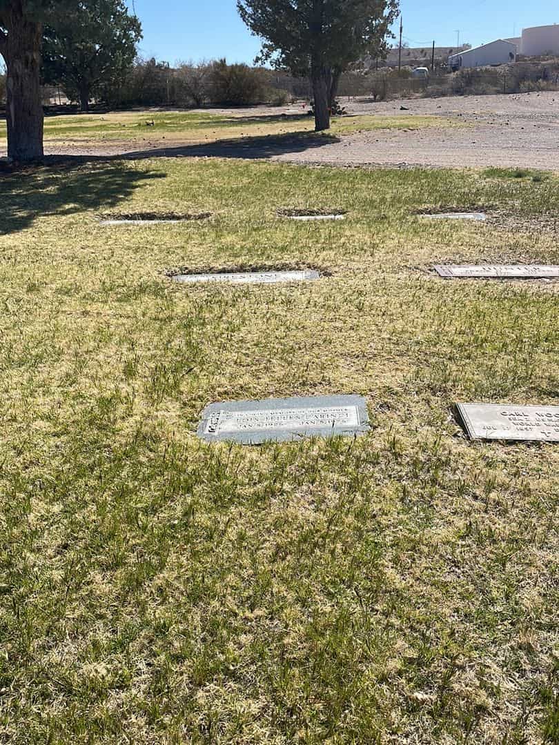 Lois Mary Telles Carinci's grave. Photo 1