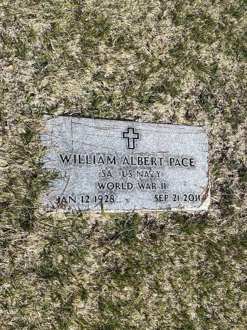 William Albert Pace's grave. Photo 1