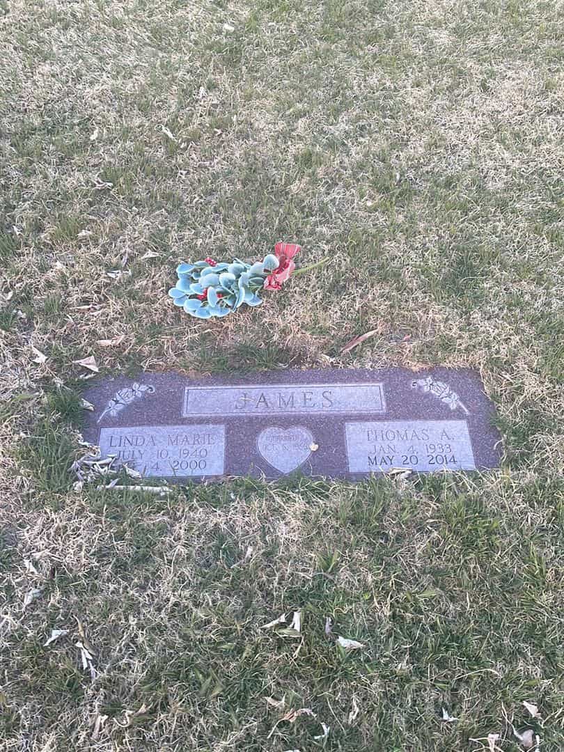 Thomas A. James's grave. Photo 2