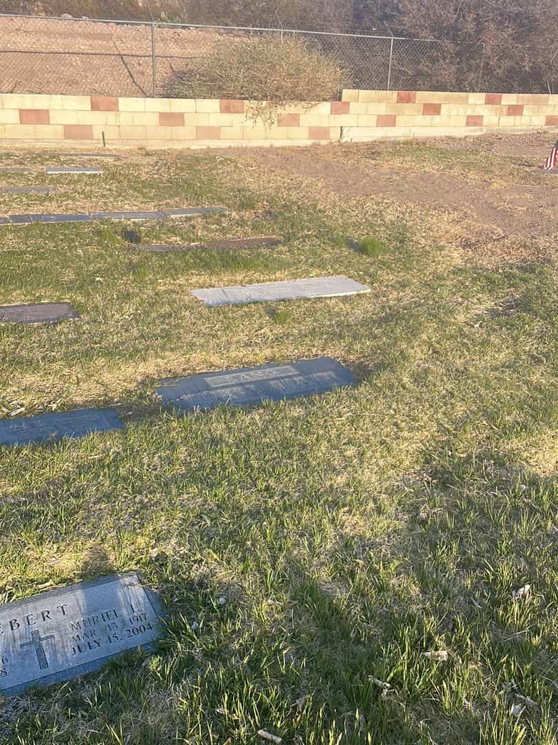 Auday M. Lang's grave. Photo 1