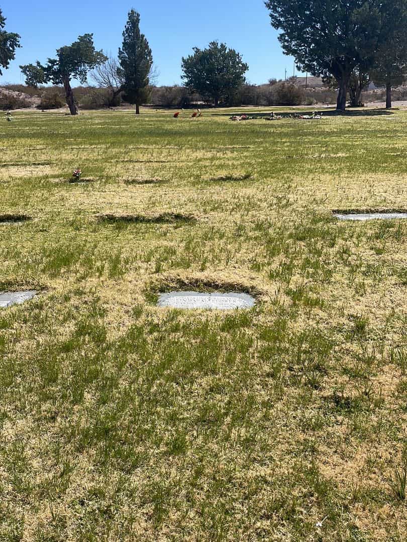 Linda M. Maroussy Flores's grave. Photo 1