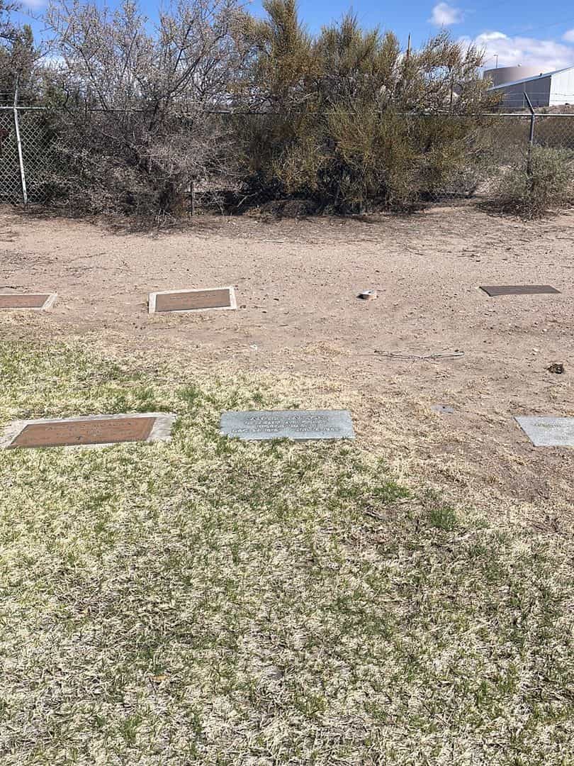 Samuel Janson's grave. Photo 2