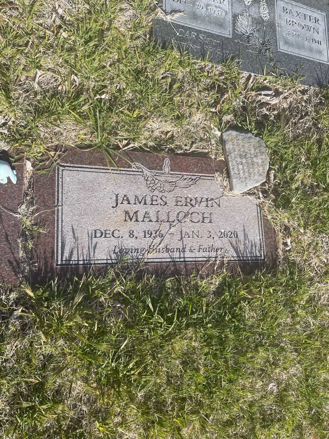 James Ervin Malloch's grave. Photo 2