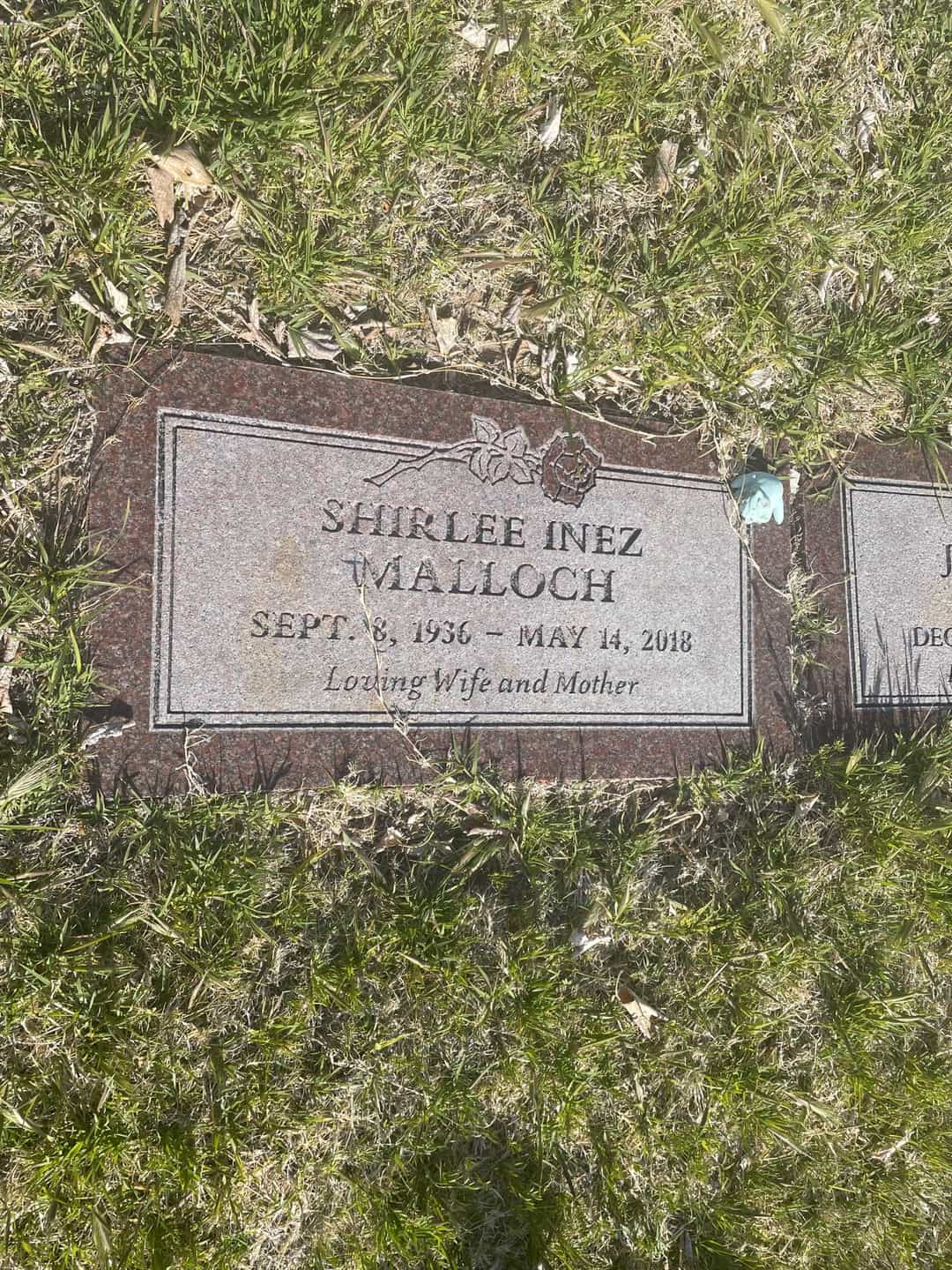 Shirlee Inez Malloch's grave. Photo 2
