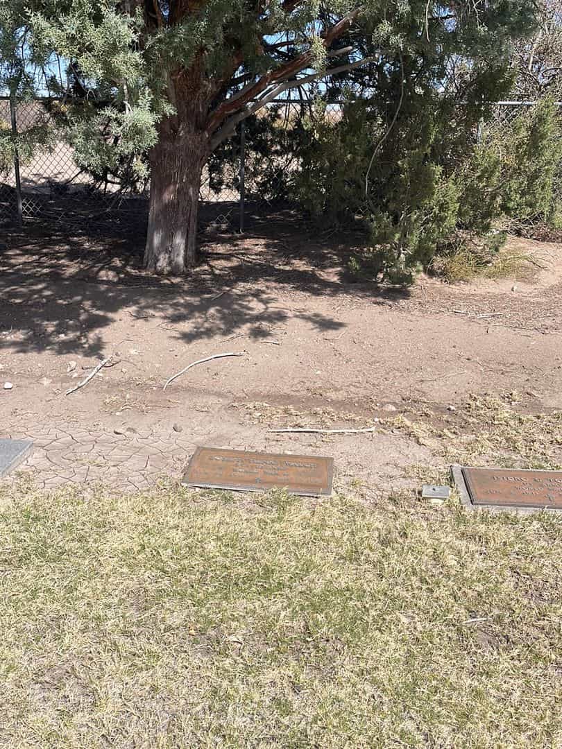 Joseph Henry Walch's grave. Photo 2