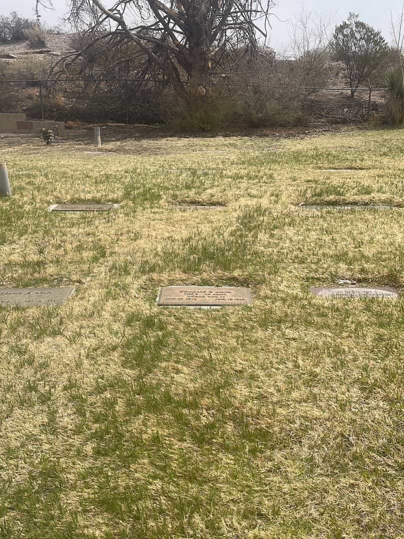 Charlie E. Akin's grave. Photo 2