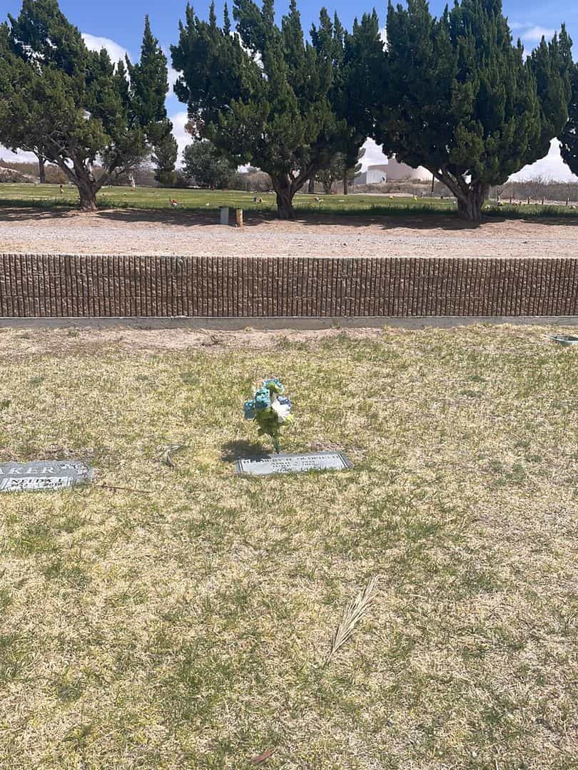 Herbert H. Oldfield's grave. Photo 1