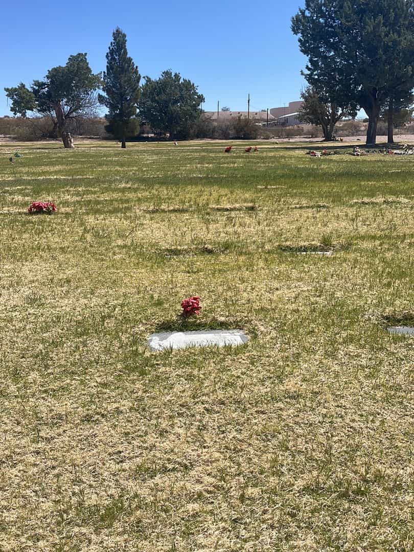 Ted W. Hall's grave. Photo 1