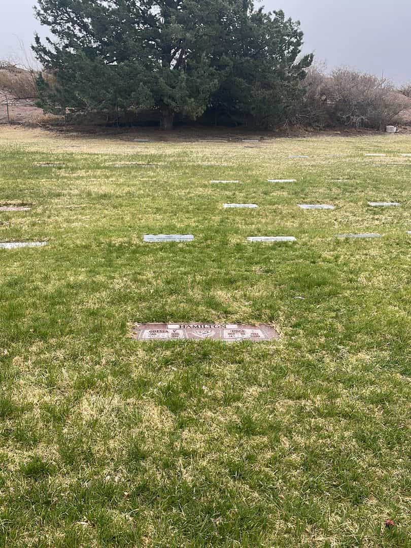 Judge T. Hamilton's grave. Photo 2
