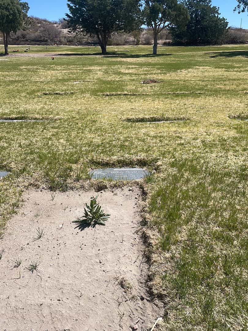 Mela C. Madrid's grave. Photo 1
