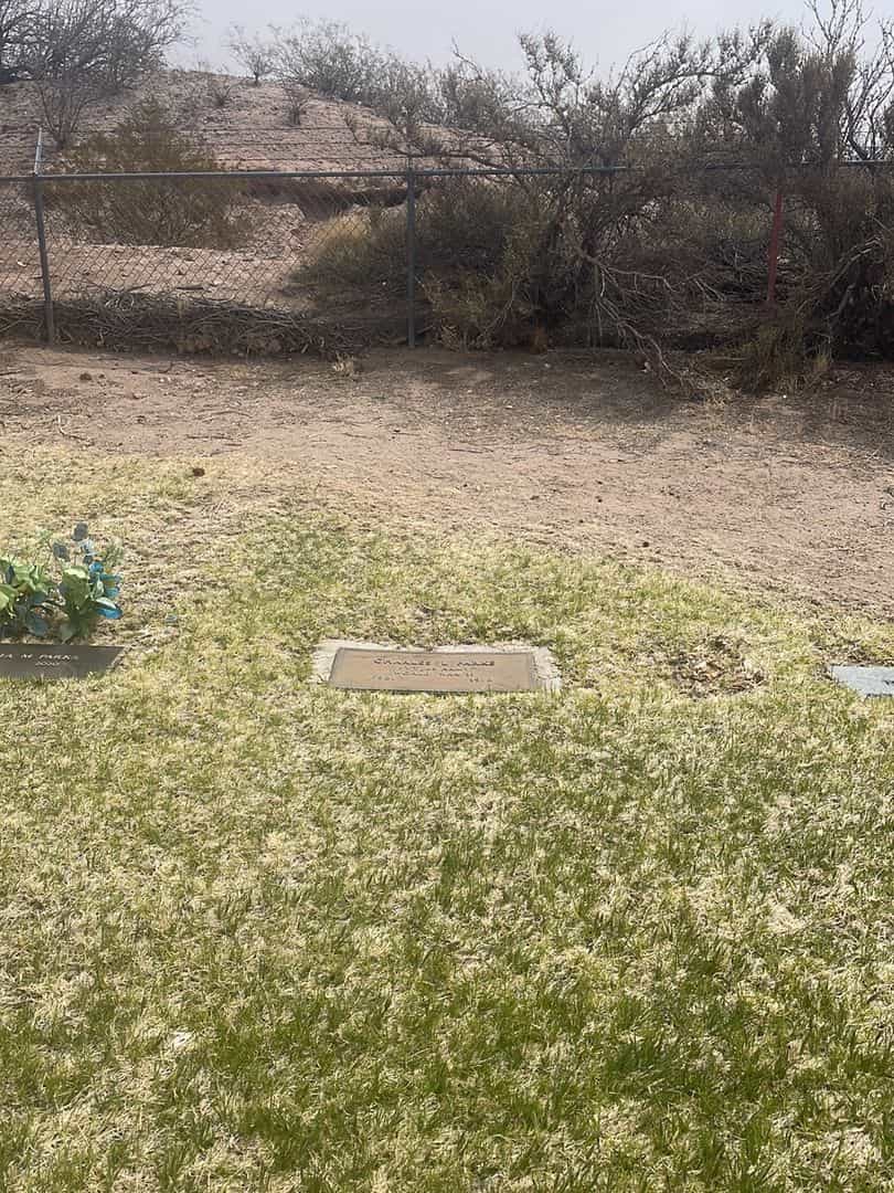 Charles L. Parks's grave. Photo 2