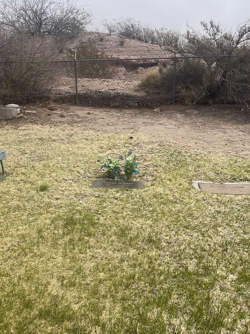 LaVelma M. Parks's grave. Photo 2
