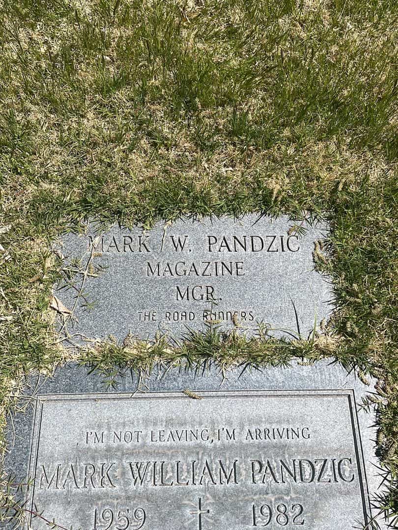 Mark William Pandzic's grave. Photo 2