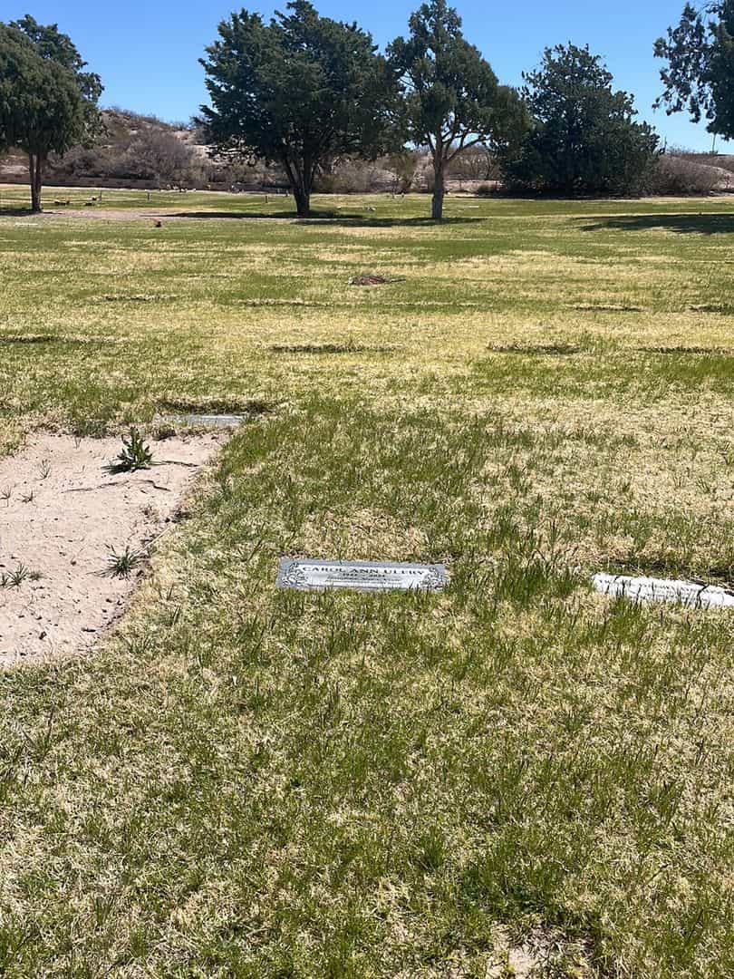 Carol Ann Ulery's grave. Photo 3