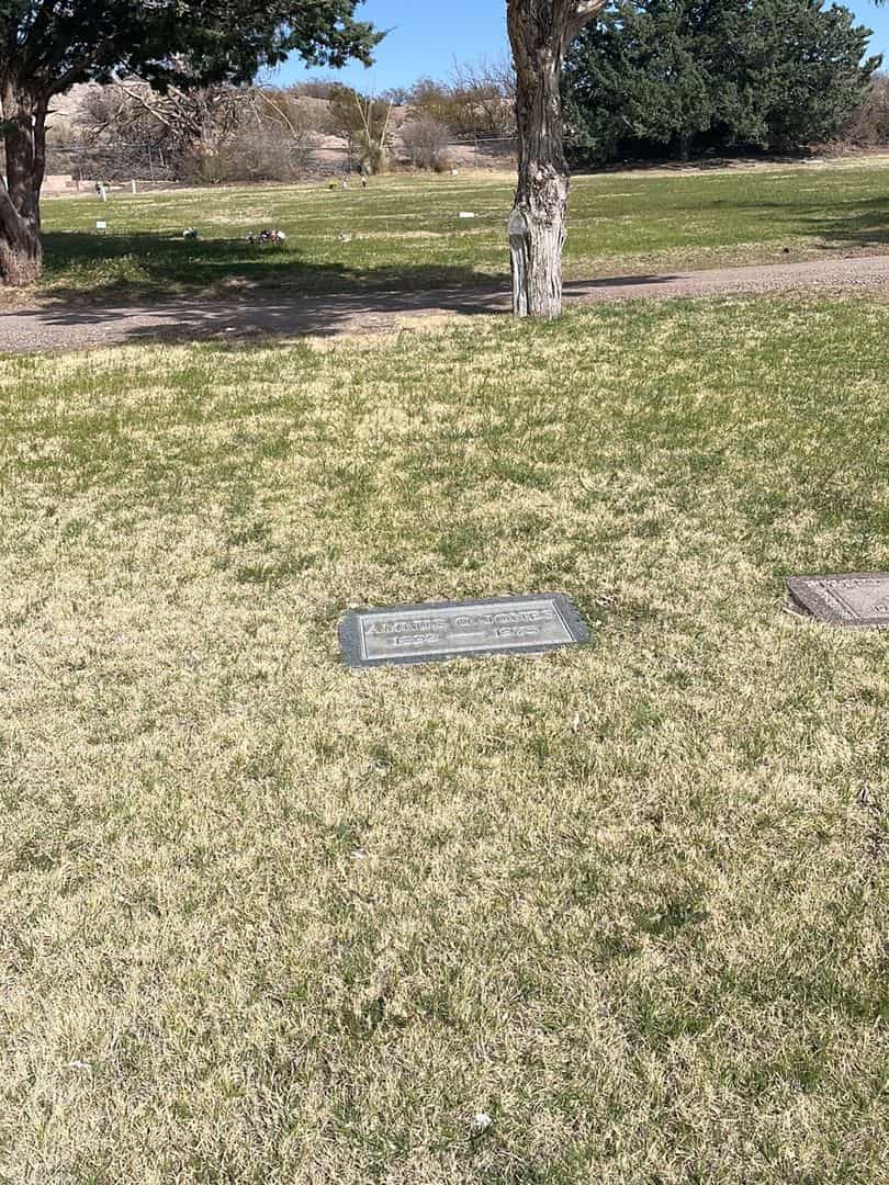Forrest Allen James's grave. Photo 1