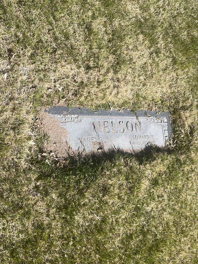 Edward P. Nelson's grave. Photo 2