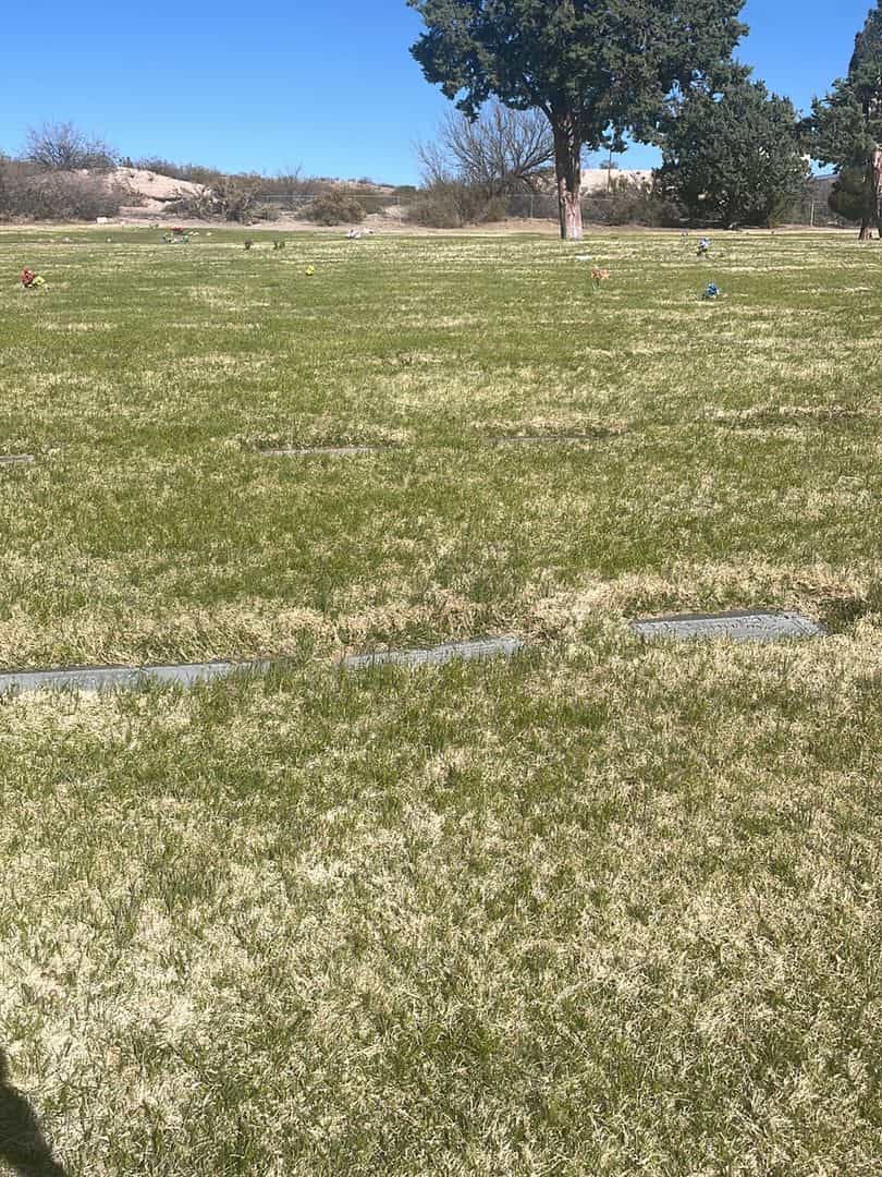 Carol Joyce Rainey's grave. Photo 1