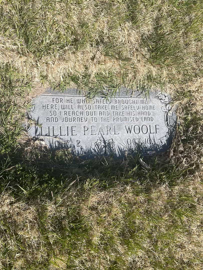 Carol Joyce Rainey's grave. Photo 2