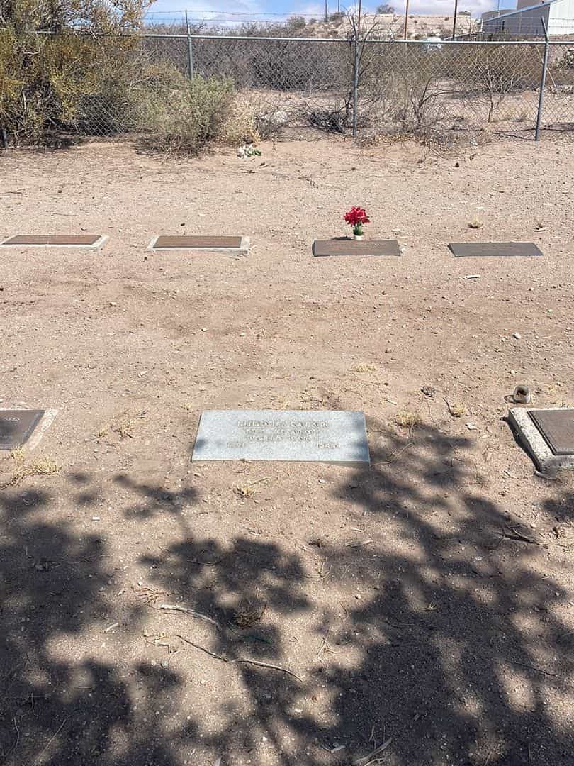 Ludwig Safar's grave. Photo 2