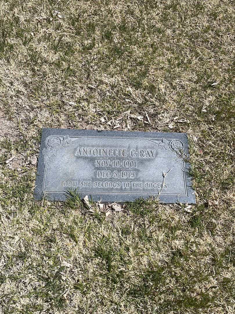 Antoinette C. Ray's grave. Photo 2