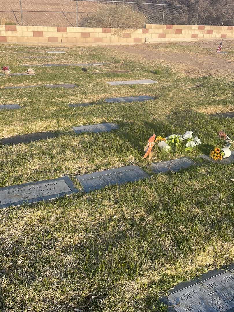 Thomas Palmer Hall's grave. Photo 1