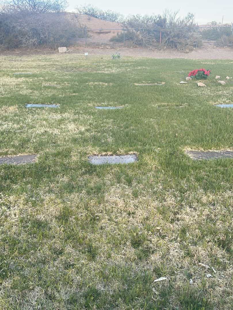 Priscilla Waldrip's grave. Photo 2